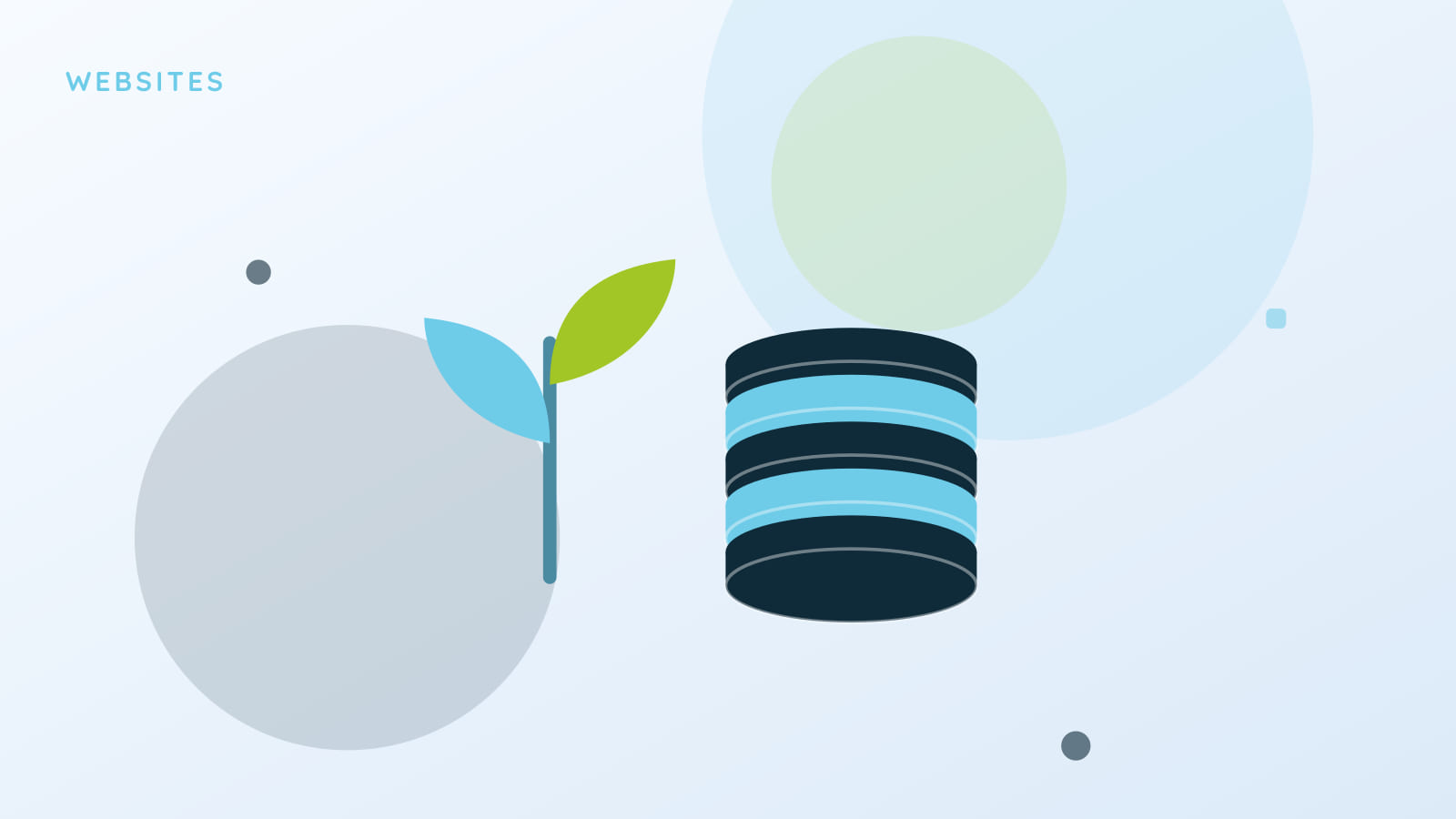 Cutting School Website Hosting Costs Without Cutting Quality